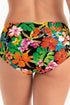 Rosa Faia Wild Garden Ive Bottom